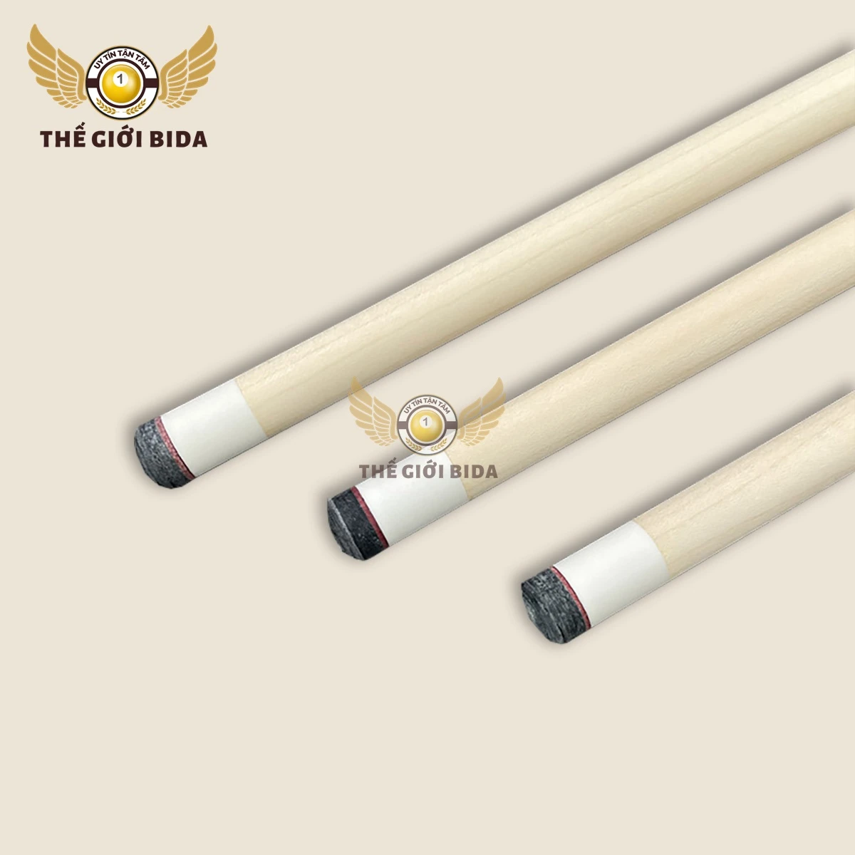 cơ fury ca 6